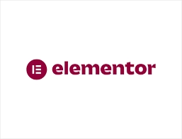 elementor freelance digital marketer in kannur