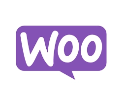 woo freelance digital marketer in kannur